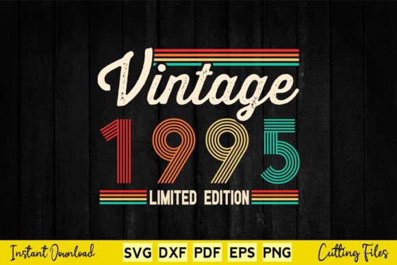 29 Years Old Gifts Born in 1995 Vintage Graphics and Crafts